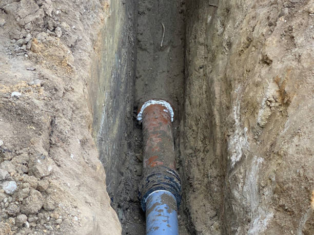 Best Sewage cleanup and water damage restoration  in Hickory Hls, IL