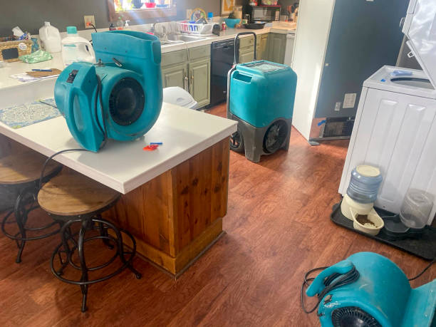 Best Commercial water damage restoration  in Hickory Hls, IL