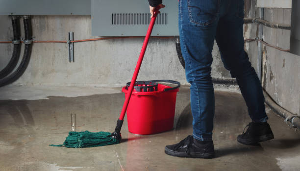 Best Water damage restoration near me  in Hickory Hls, IL