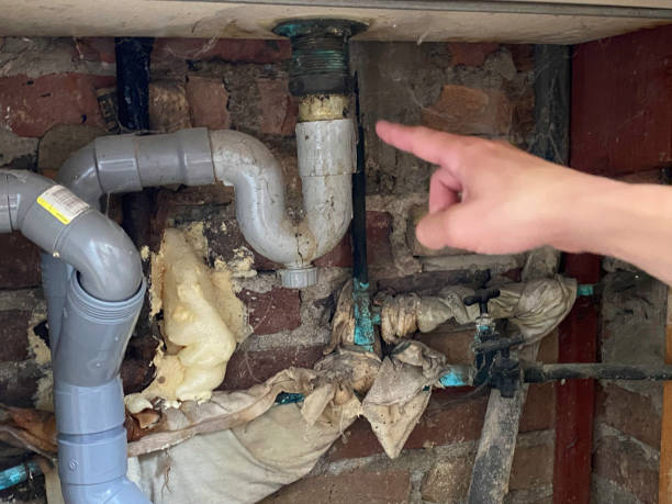 Best Local water damage restoration  in Hickory Hls, IL